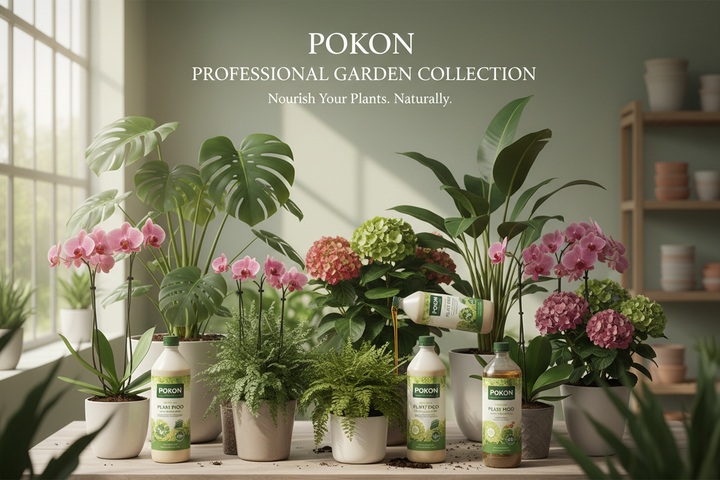 POKON PLANTENVOEDING