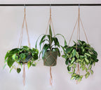 ARTI CASA TAFELKLEM DECORATIEFRAME 130-250CM ZWART - Tuincentrum Lopik