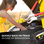 DUNLOP SMART CHARGER ACCULADER 3.8A - Tuincentrum Lopik