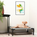 MAXXPRO HONDENBED OP POOTJES SMALL 43X55X17CM - Tuincentrum Lopik