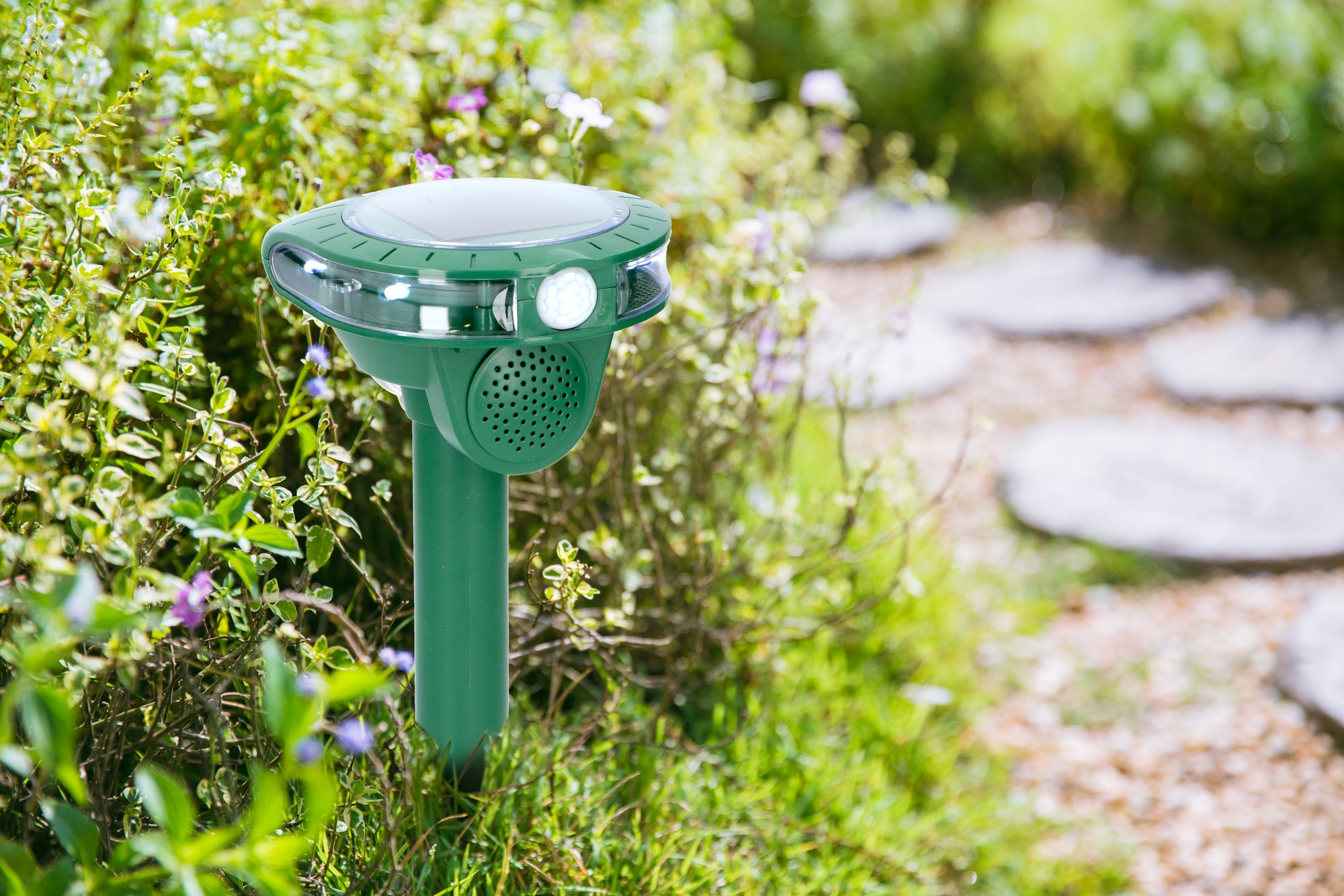 GRUNDIG SOLAR ONGEDIERTEVERJAGER MET SENSOR - Tuincentrum Lopik