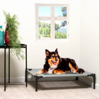 MAXXPRO HONDENBED OP POOTJES MEDIUM 63,5X81X17CM - Tuincentrum Lopik