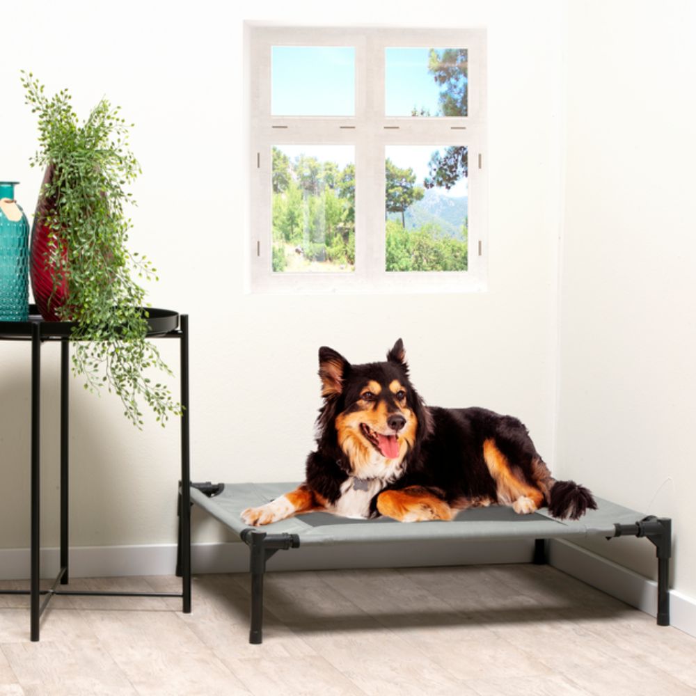 MAXXPRO HONDENBED OP POOTJES MEDIUM 63,5X81X17CM - Tuincentrum Lopik