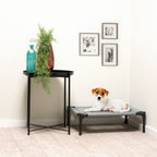MAXXPRO HONDENBED OP POOTJES SMALL 43X55X17CM - Tuincentrum Lopik