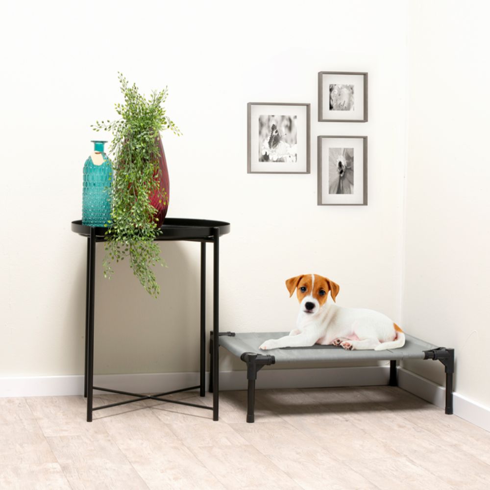 MAXXPRO HONDENBED OP POOTJES SMALL 43X55X17CM - Tuincentrum Lopik