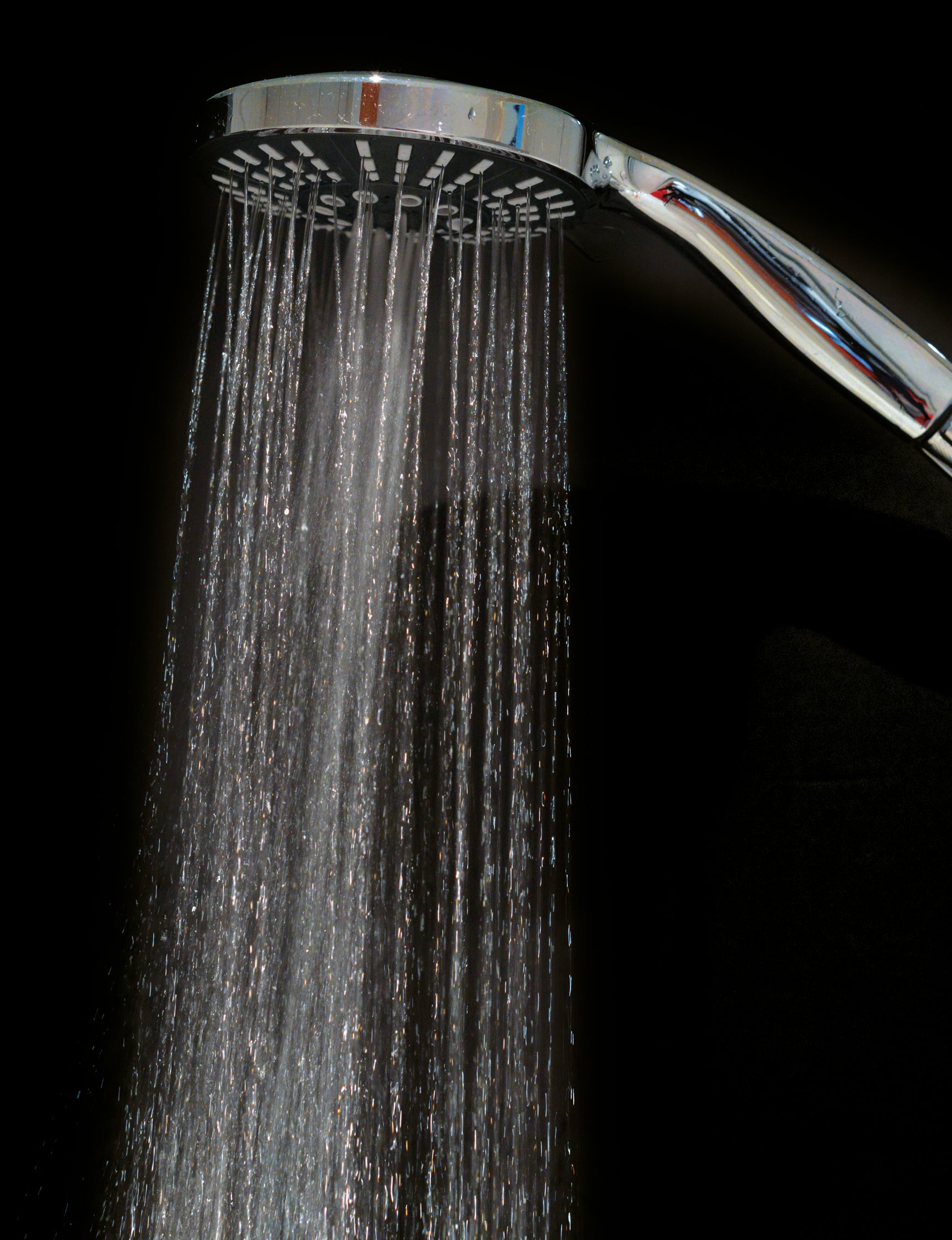 BATH & SHOWER DOUCHEKOP Ø15CM - 5 STANDEN - Tuincentrum Lopik