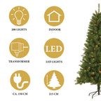 GIFTSOME KUNSTKERSTBOOM MET LED VERLICHTING 215CM 200 LEDS GROEN - Tuincentrum Lopik