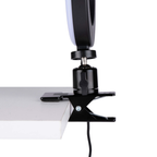 GRUNDIG RGB RINGLAMP 15,6CM MET KLEM EN AFSTANDSBEDIENING - Tuincentrum Lopik