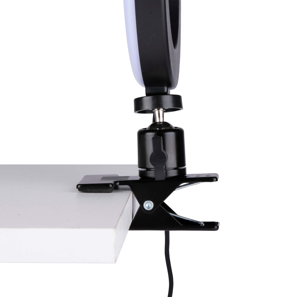 GRUNDIG RGB RINGLAMP 15,6CM MET KLEM EN AFSTANDSBEDIENING - Tuincentrum Lopik