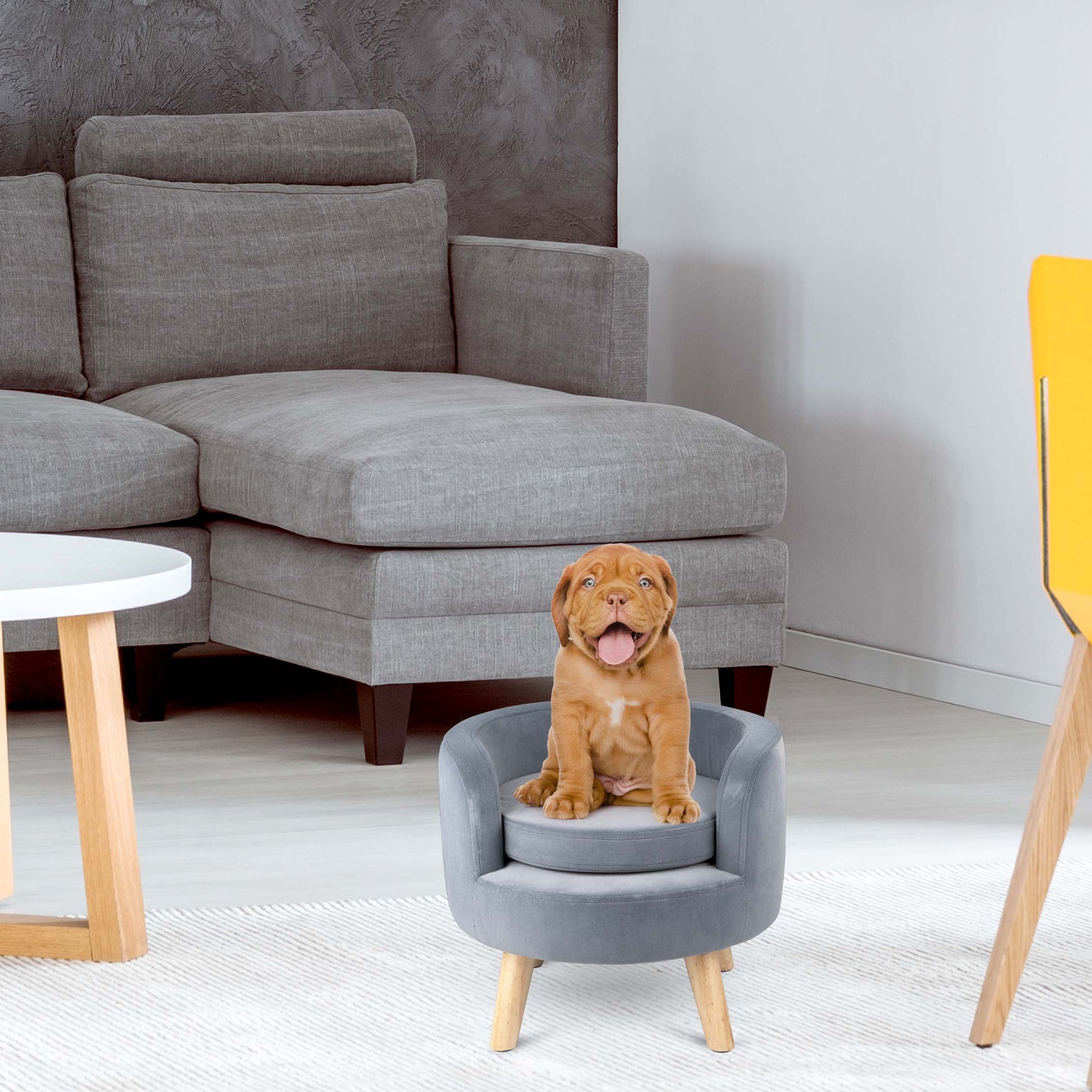 MAXXPRO PET SOFA D40,5X36CM - Tuincentrum Lopik