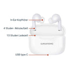 GRUNDIG DRAADLOZE EARBUDS TWS 230 MAH - Tuincentrum Lopik