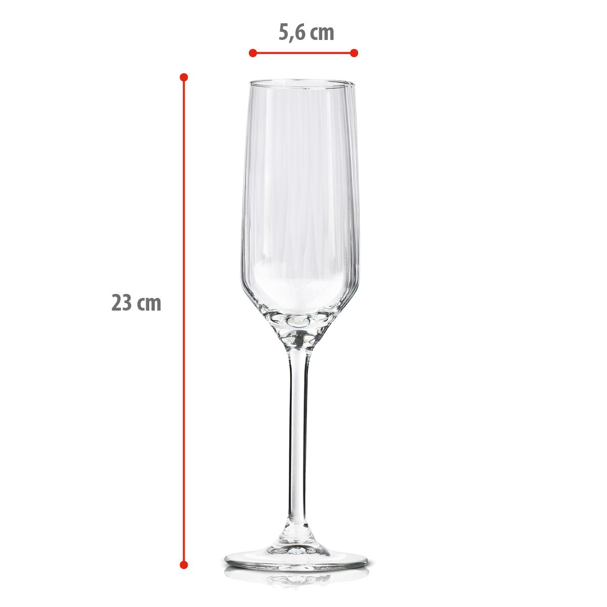 ALPINA CHAMPAGNEGLAZEN SET 4 STUKS - Tuincentrum Lopik