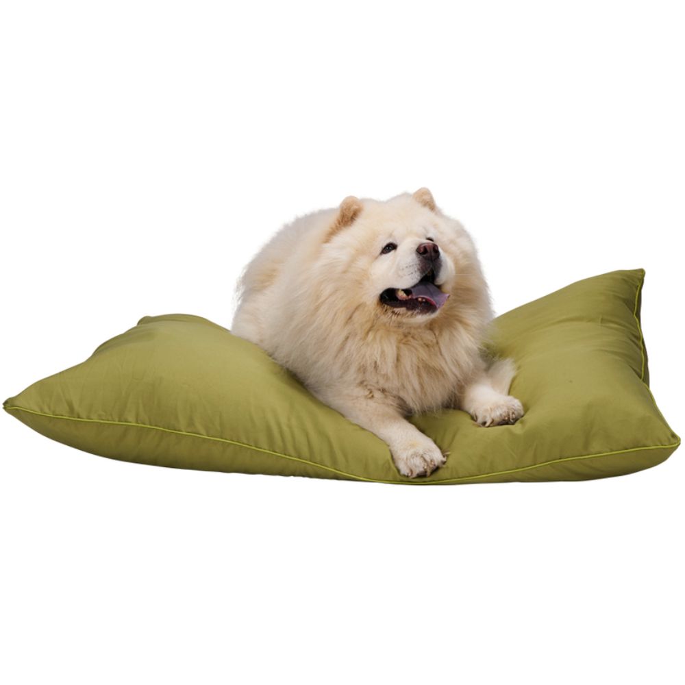 MAXXPRO HONDENKUSSEN L GROEN 100X70CM - Tuincentrum Lopik