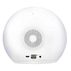GRUNDIG WAKE-UP LIGHT WEKKER MET RADIO - Tuincentrum Lopik