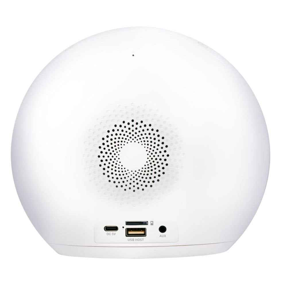 GRUNDIG WAKE-UP LIGHT WEKKER MET RADIO - Tuincentrum Lopik