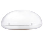 GRUNDIG WAKE-UP LIGHT WEKKER MET RADIO - Tuincentrum Lopik