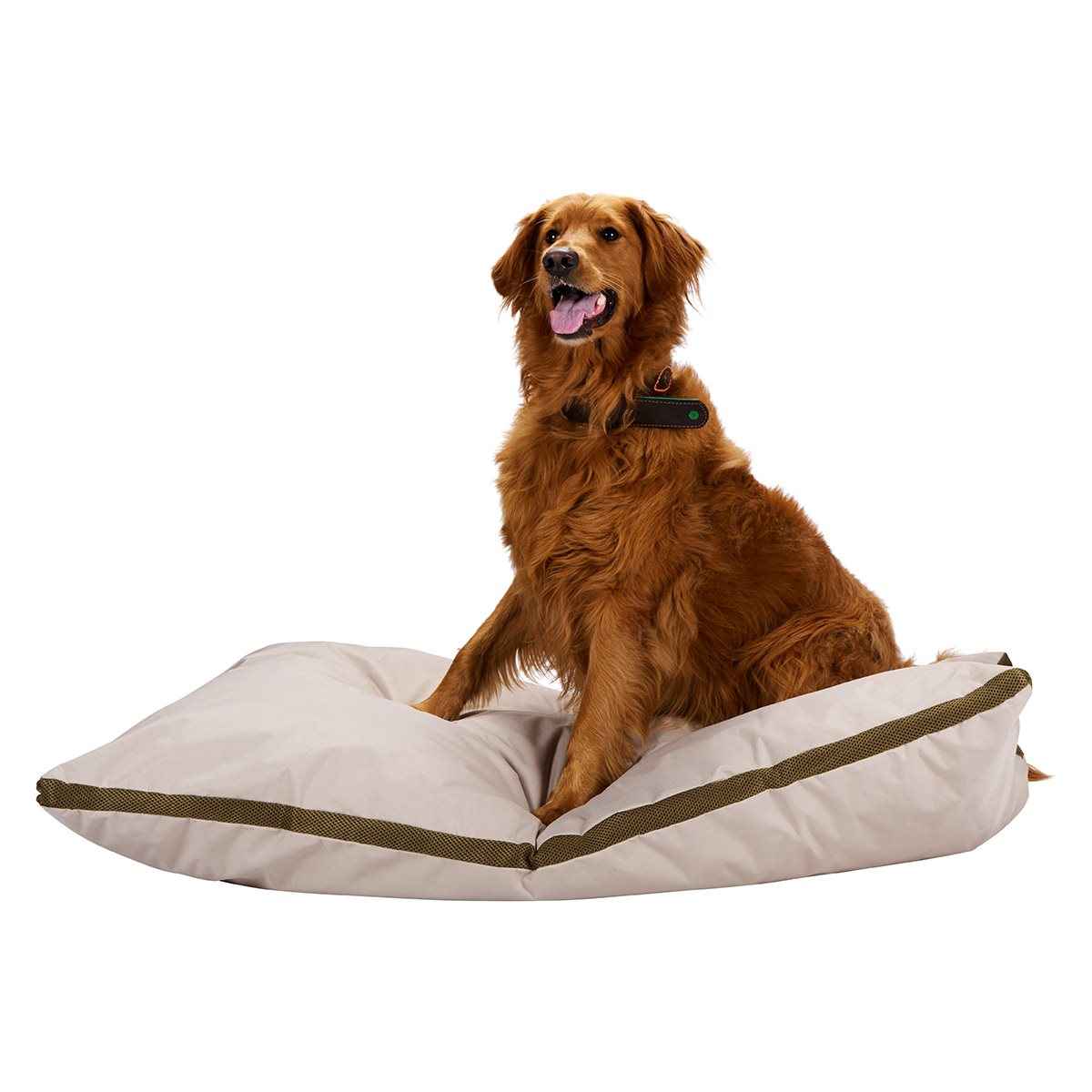 MAXXPRO HONDENKUSSEN XL BEIGE 120X80CM - Tuincentrum Lopik