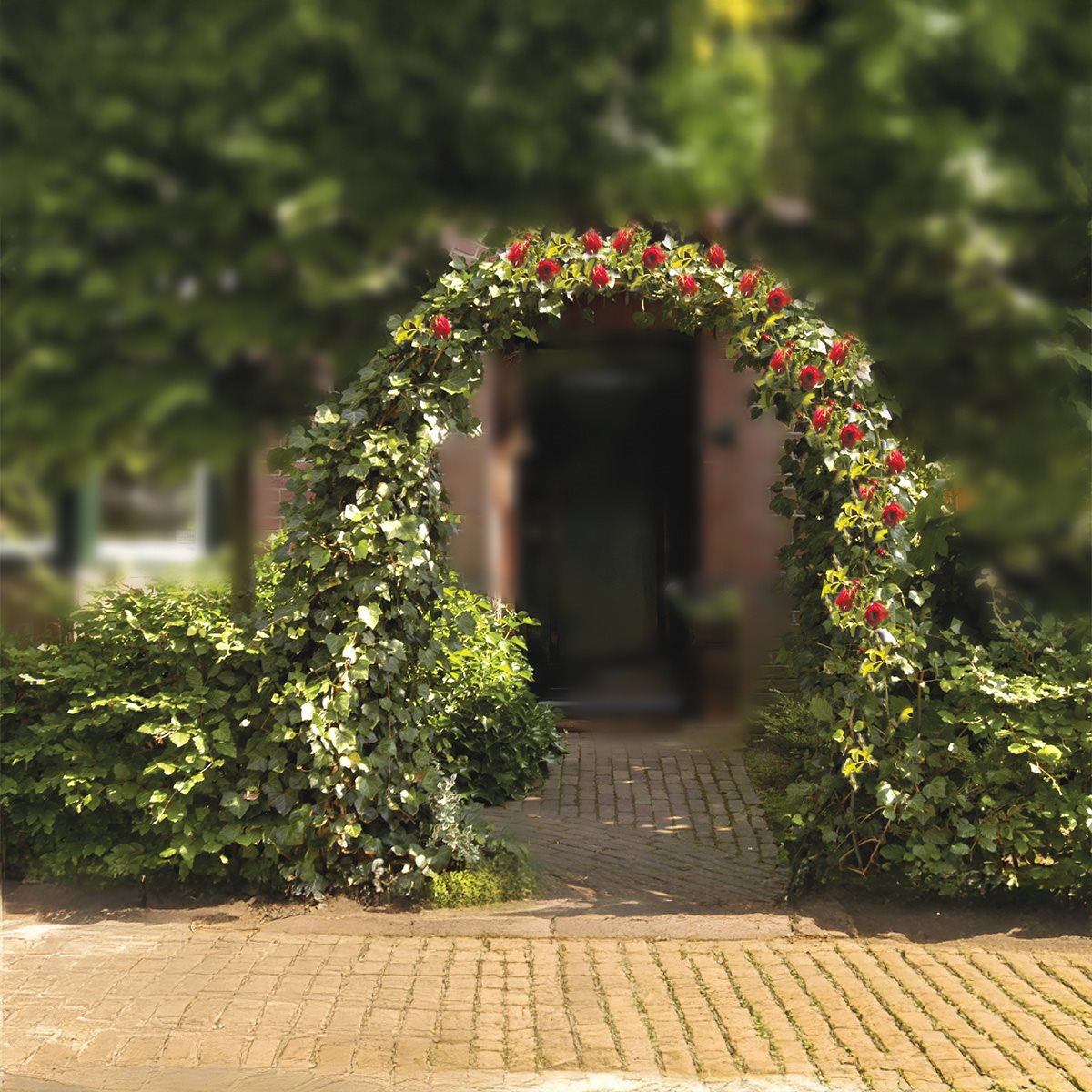 Rose Gate 240X140Cm
