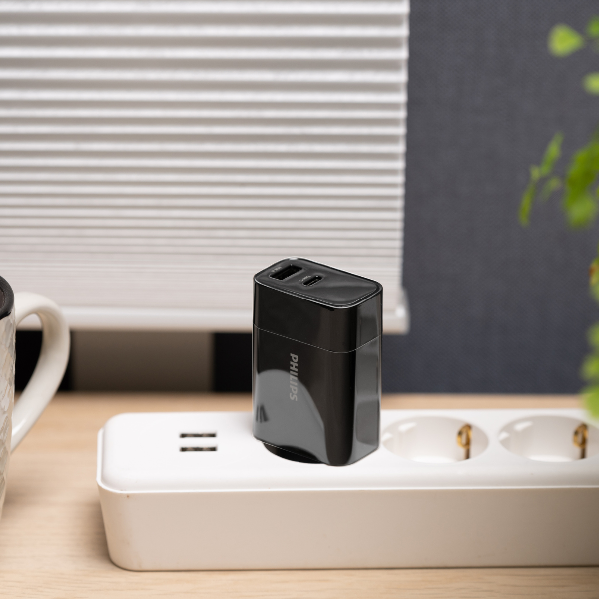 PHILIPS DLP2621/03 USB WANDOPLADER 230V MET USB-A EN USB-C - Tuincentrum Lopik