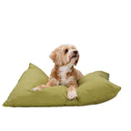 MAXXPRO HONDENKUSSEN S GROEN 60X45CM - Tuincentrum Lopik