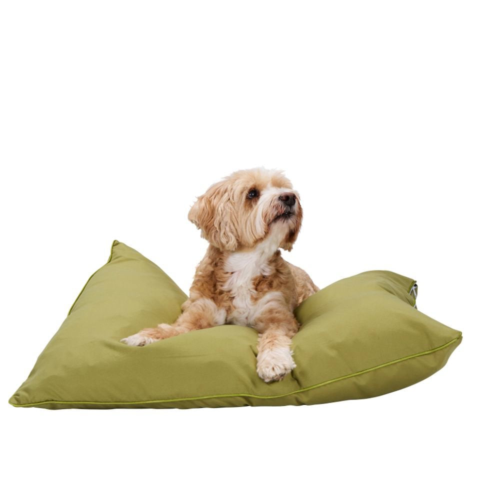 MAXXPRO HONDENKUSSEN S GROEN 60X45CM - Tuincentrum Lopik