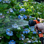 BLACK+DECKER TUINSPUITPISTOOL 10 SPROEIPATRONEN - Tuincentrum Lopik