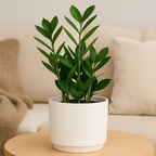 ARTI CASA BLOEMPOT STRIPE Ø18 X 17 CM - Tuincentrum Lopik
