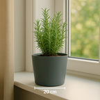 BLOEMPOT KUNSTSTOF GRIJS 20 X 18 CM - Tuincentrum Lopik
