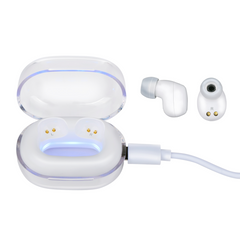 GRUNDIG DRAADLOZE OORDOPJES BLUETOOTH 200MAH MET OPLAADCASE - Tuincentrum Lopik