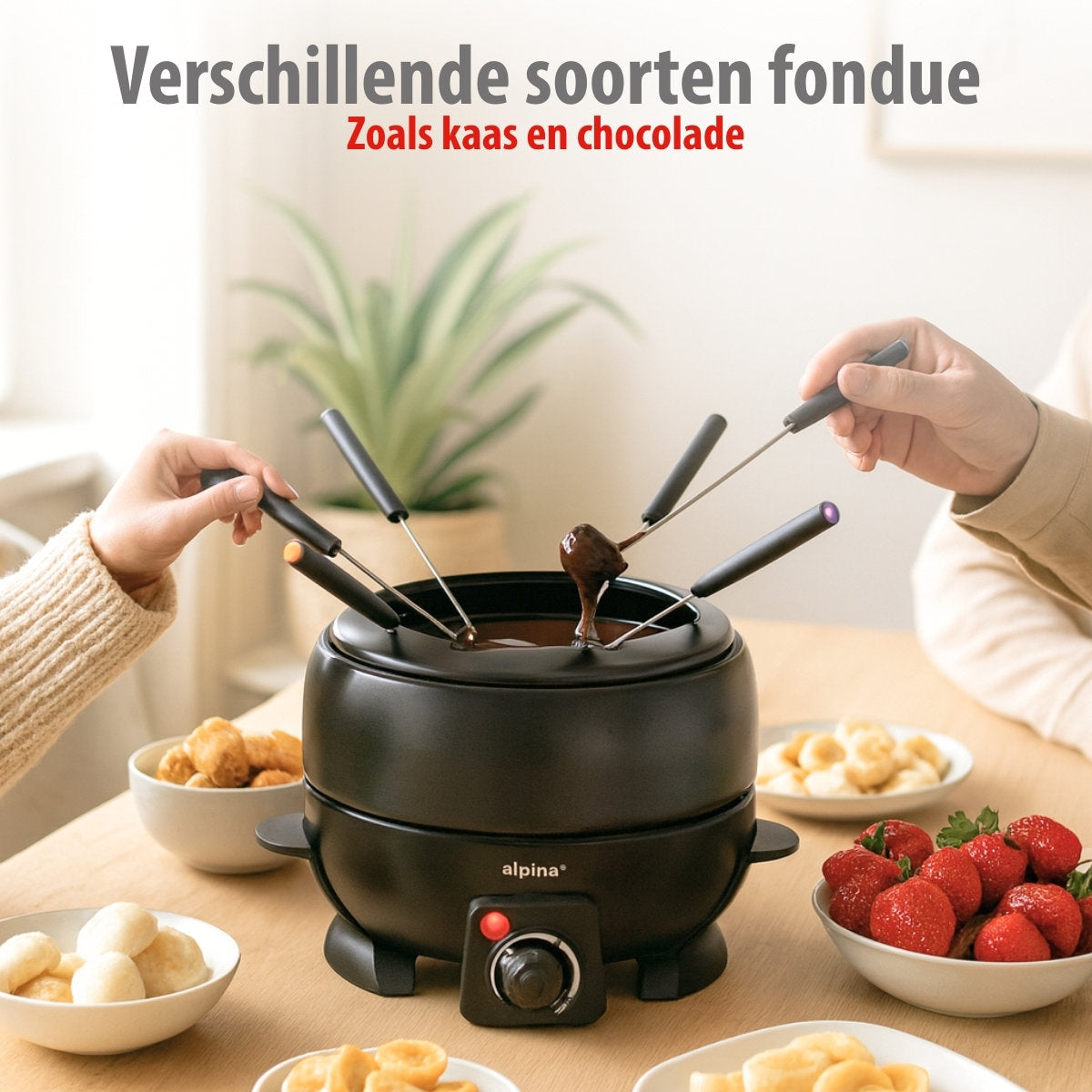 ALPINA FONDUESET ELEKTRISCH 230V 800W 2,3 L - Tuincentrum Lopik