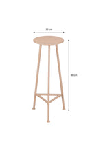 Adine Planttable L. Pink - H80Xd30Cm