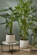 Bamboo In Pot Green - H155Xd90Cm