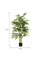 Bamboo In Pot Green Waterproof & Uv Resistant - H150Xd60Cm