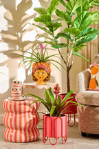 Ficus Lyrata In Pot Green Waterproof & Uv Resistant - H150Xd50Cm