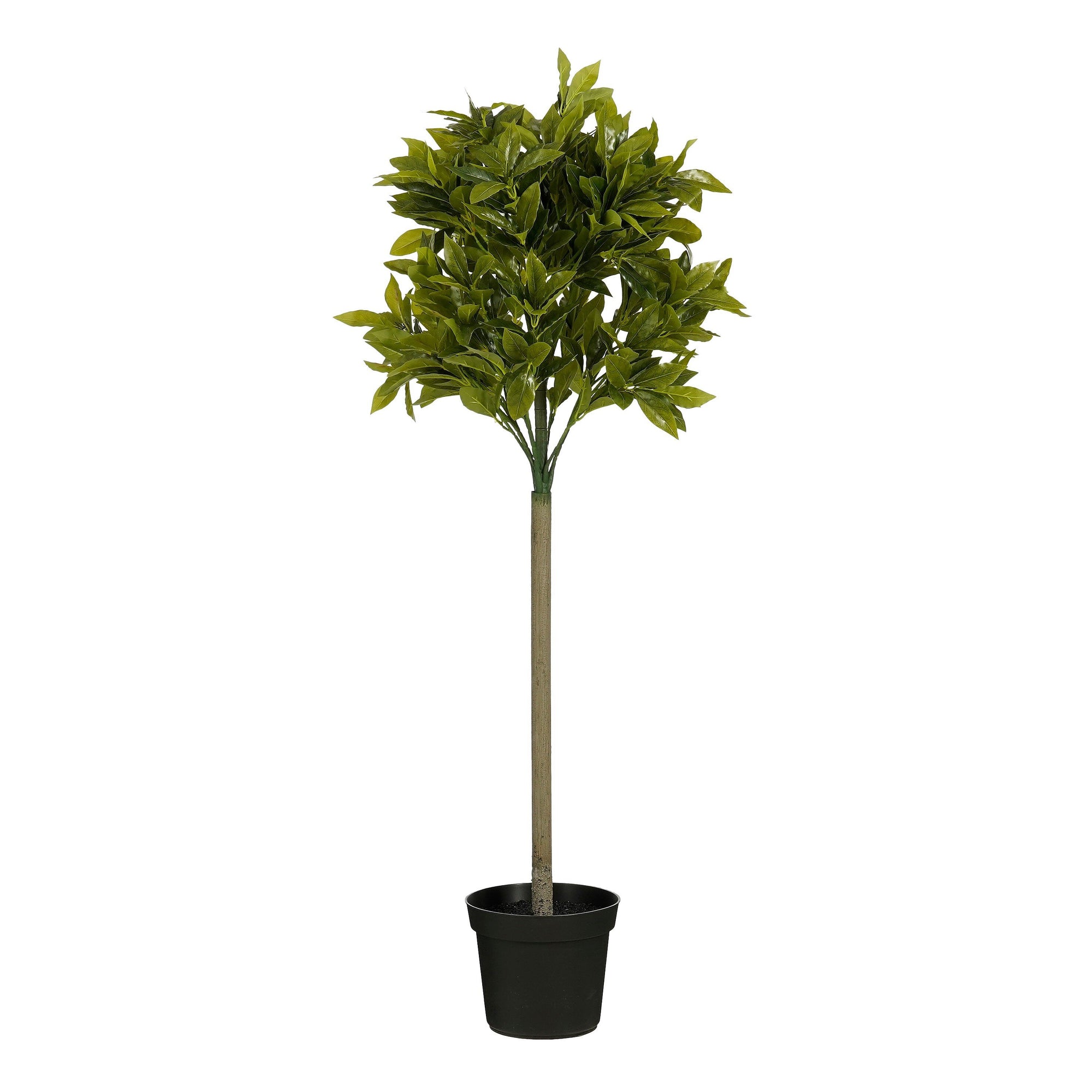 Laurel Tree Green Waterproof & Uv Resistant - H120Xd40Cm