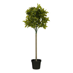 Laurel Tree Green Waterproof & Uv Resistant - H120Xd40Cm