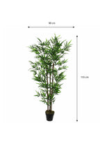 Bamboo In Pot Green - H155Xd90Cm