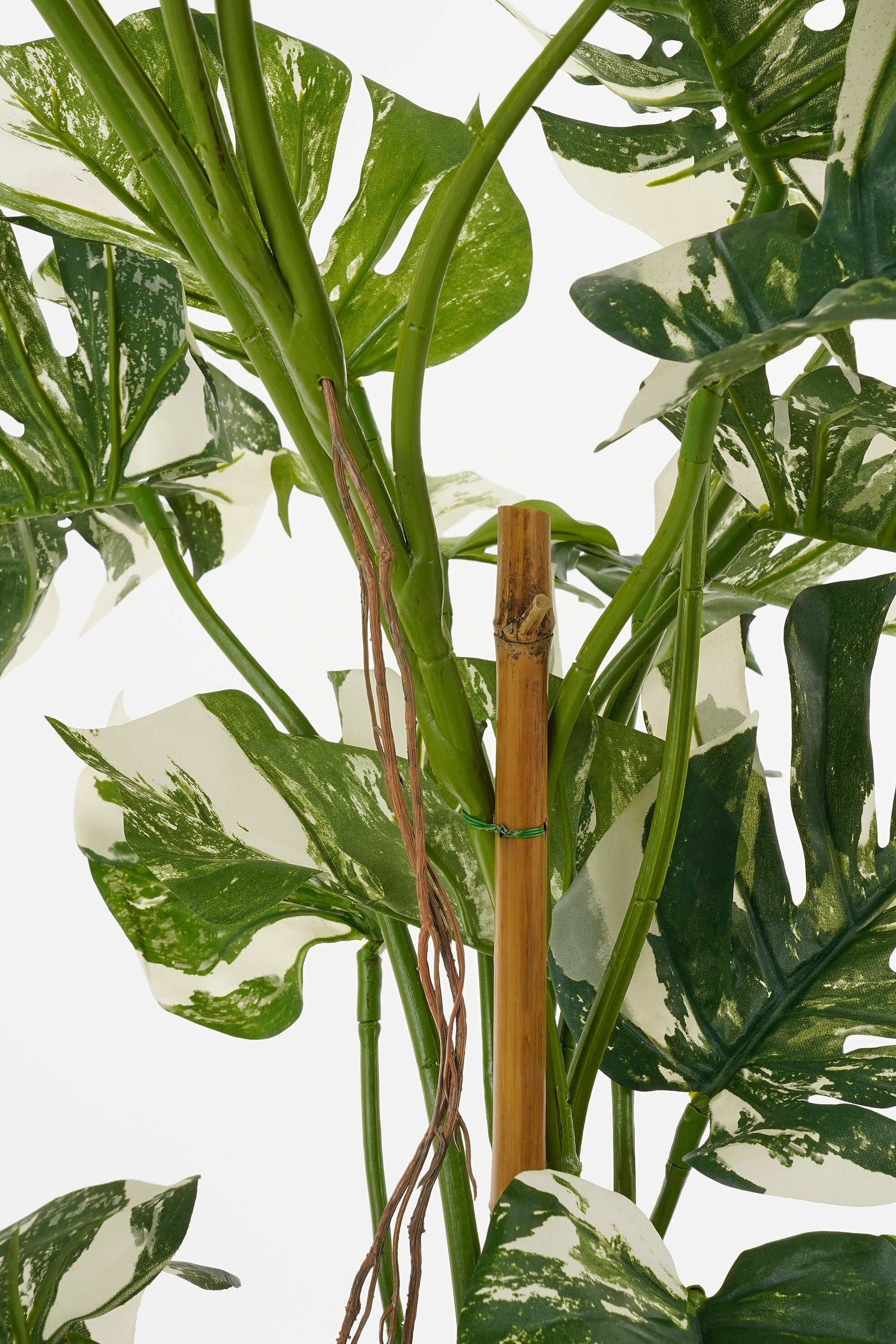 Monstera Tree Green - H140Xd120Cm
