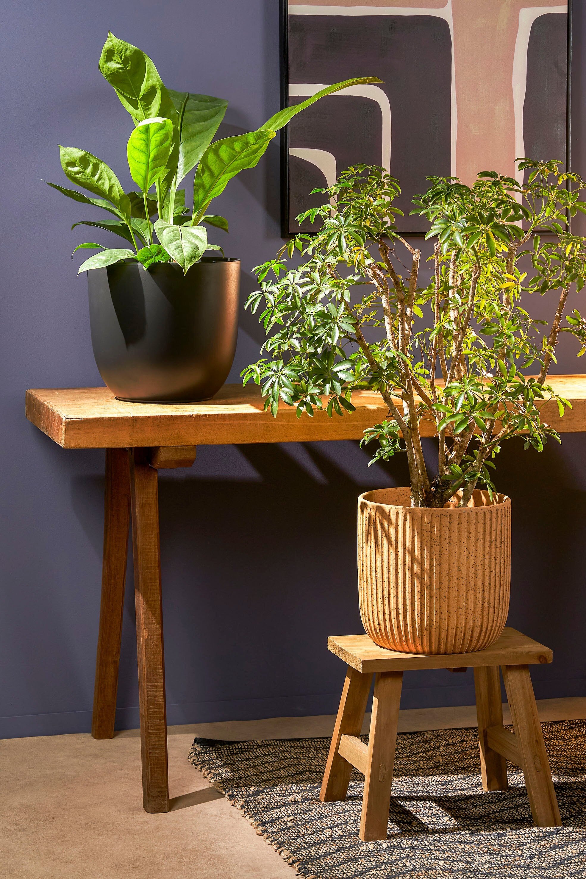 MICA DECORATIONS BOLD KRUK BRUIN GERECYCLED HOUT - Tuincentrum Lopik