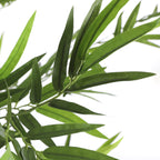 Bamboo In Pot Green - H155Xd90Cm
