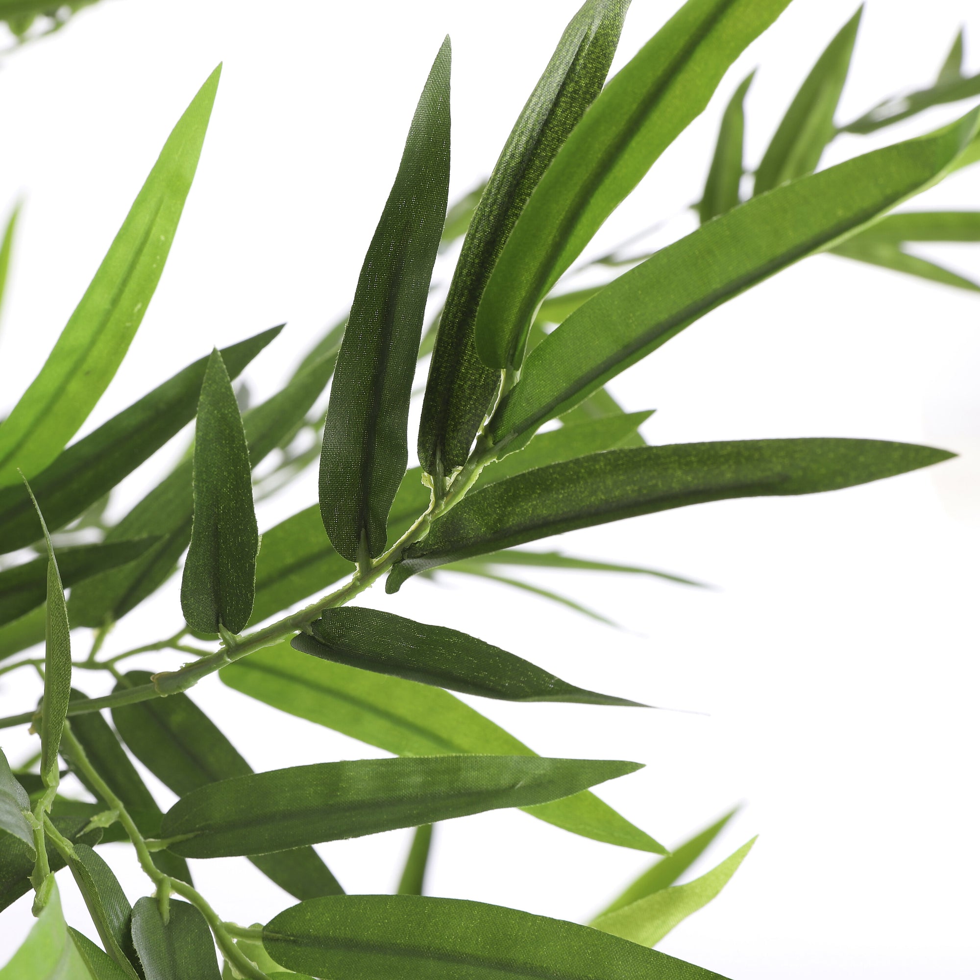Bamboo In Pot Green - H155Xd90Cm
