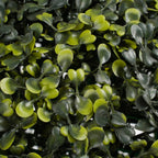 Boxwood Ball Green Waterproof & Uv Resistant - D45Cm