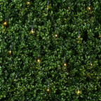 ARTI CASA KERSTNETVERLICHTING 160 LED 230V IP44 - Tuincentrum Lopik