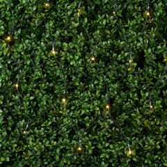 ARTI CASA KERSTNETVERLICHTING 160 LED 230V IP44 - Tuincentrum Lopik