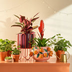 MICA DECORATIONS DIONE BLOEMPOT OP STANDAARD DONKERROOD IJZER SET VAN 2 - Tuincentrum Lopik
