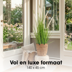 Siergras Eremurus In Pot Wit