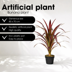 Bananenboom In Pot Rood