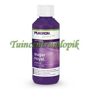  SUGAR ROYAL 100 ML