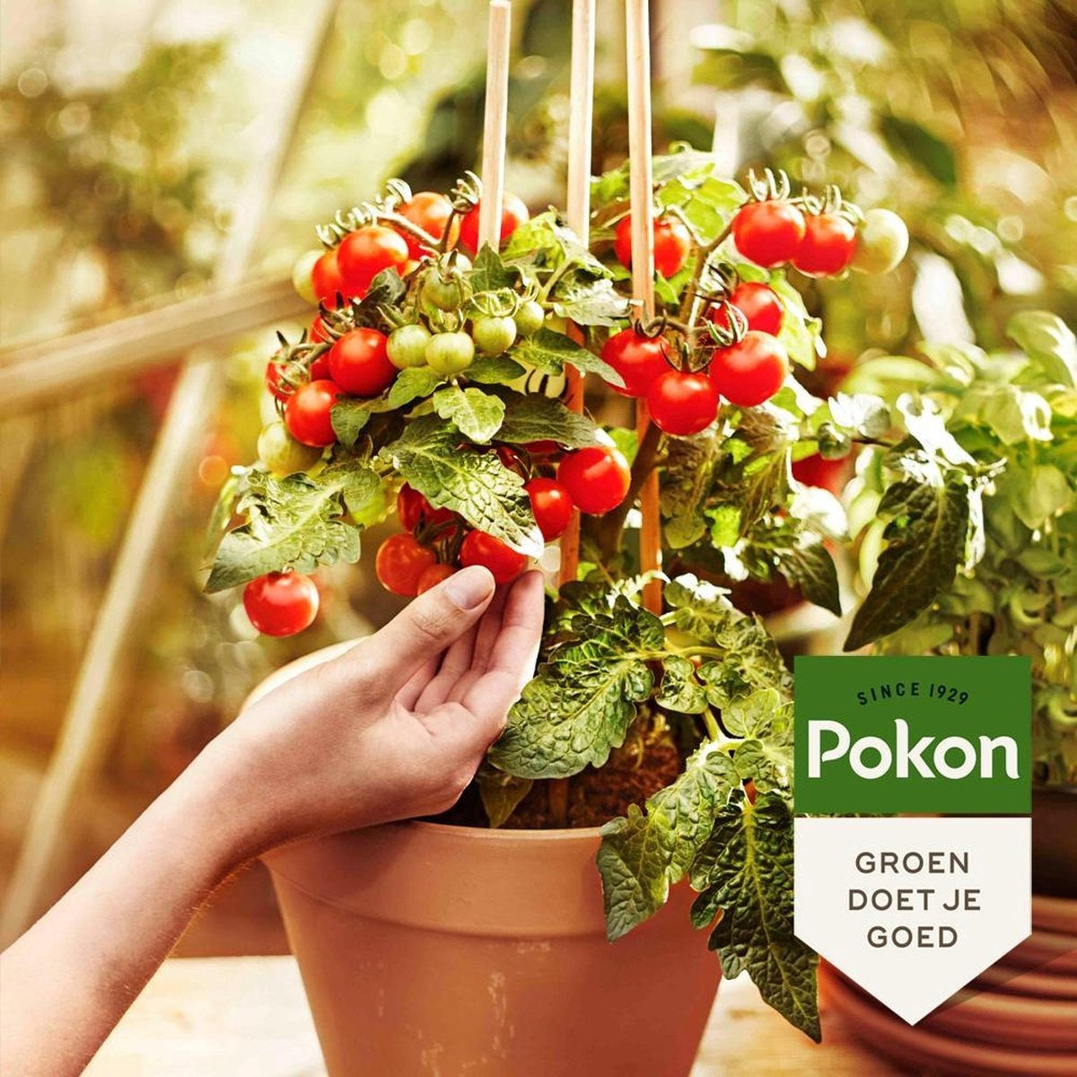 BIO MOESTUIN VOEDING 1KG