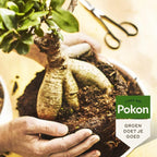  BONSAI VOEDING 250 ML